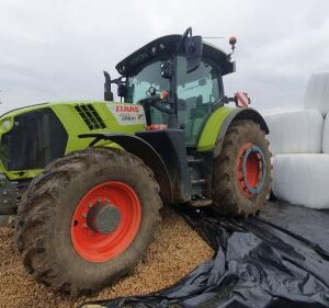 CLAAS - ARION 650 CIS
