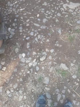 CLAAS - ARES 557 ATZ – Image 15