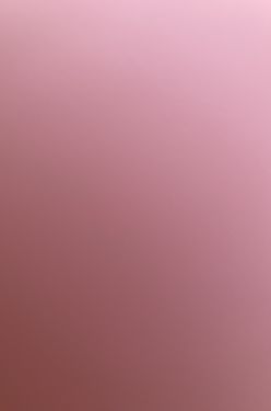 STOLL - ANDAINEUR – Image 6