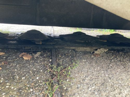 CLAAS - DISCO 3050 – Image 5